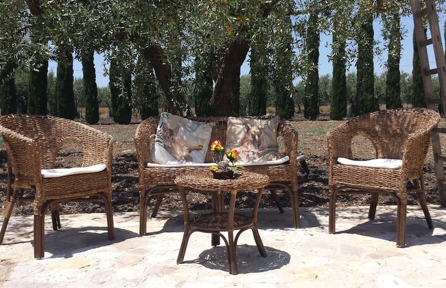 Agrisicilia - Foto 28