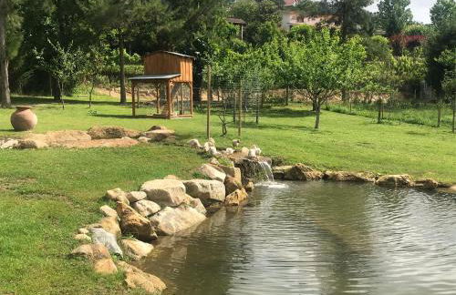 Quinta da Vinha do Souto - Foto 24