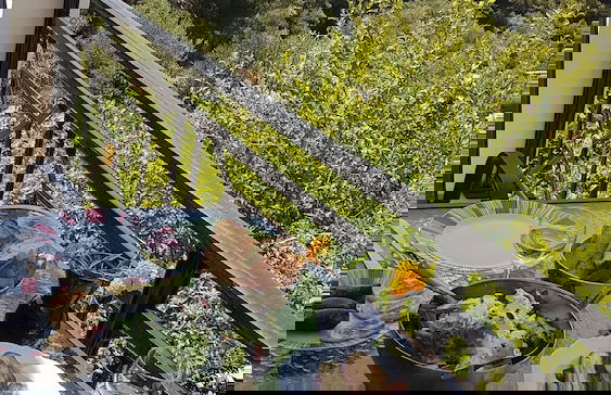 Seapine Studios - Foto 28