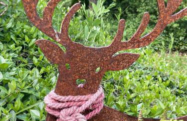 Ferienhaus Fuxbau - Foto 26