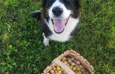 La Rocconella - Foto 26