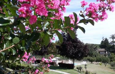 Cà Du Ruja - Foto 6