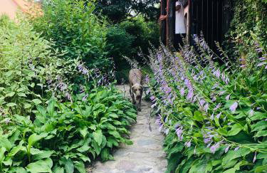 Spokojny Zaułek - Foto 20