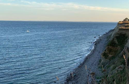 Küstenläufer - Foto 7