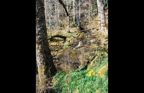 Holiday Home Farmburn Bothy by Interhome - Photo 64