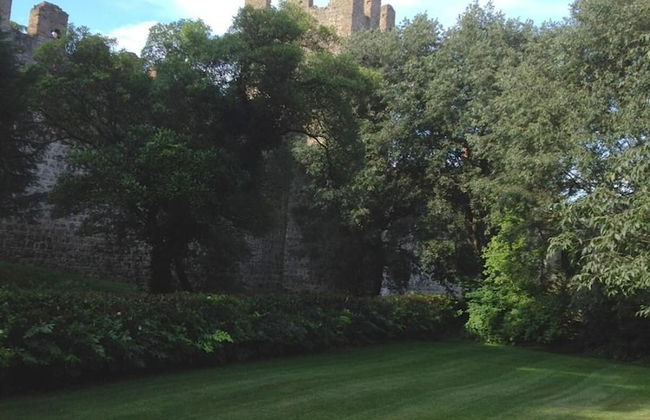 Agriturismo Barchessa - Foto 44