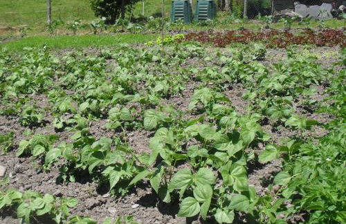 Apartamentos Rurales RON - Foto 29