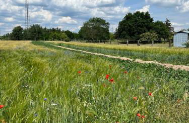Ferienwohnungen zum Dubener Kuckuck - Foto 6