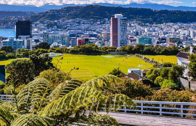 Tour por Wellington - Foto 7