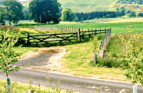 The Wee Stay - Room Only - Rural 1 Bed Guest Suite - Foto 18