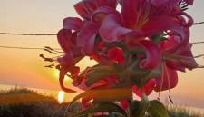 Aktaion Apartments - Foto 2