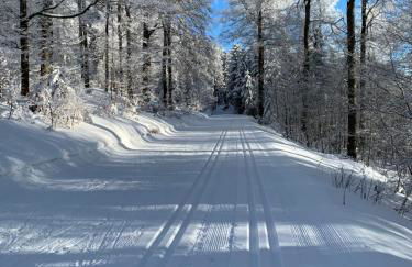 Aktiv-Ferienwohnung "Snow & Bike"- Zentral zwischen Winterberg und Willingen - Photo 11