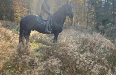 Großes neues Appartement Mein Burgwaldtraum - Foto 39