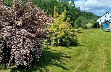 PRZYSTAŃ NAD BOBREM z Balią i Sauną - Foto 42