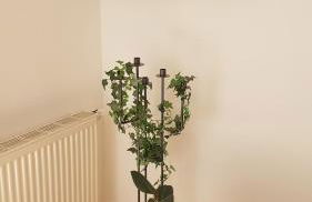 Evi's Apartment - Foto 16