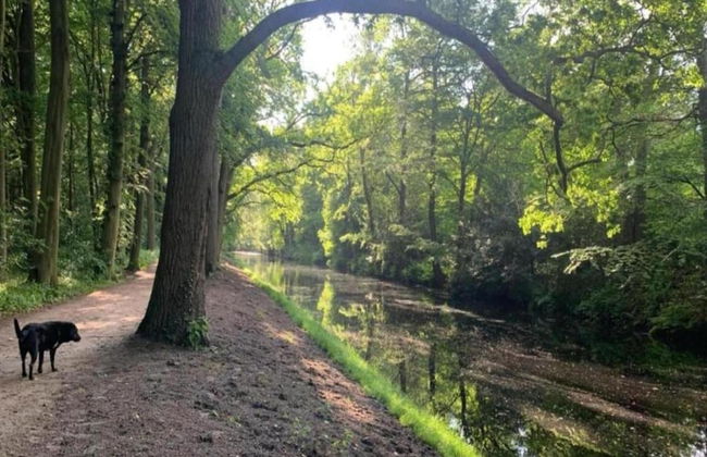 Apartment in Bergen Near Schoorl Dunes - Photo 33