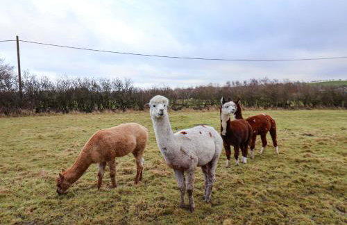 The Homestead - Foto 26