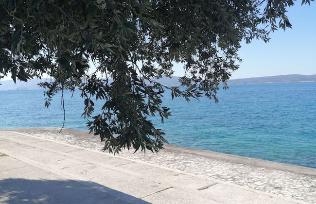 MOBILE HOMES SELCE - Lighthouse - Foto 18