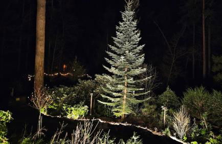 Schwedenhaus in Sandhatten - Foto 26