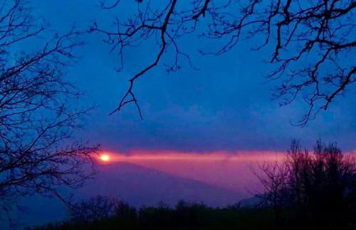 Atelier.Germana - Foto 18