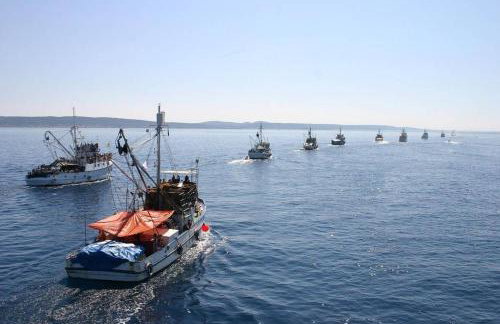 Apartman Ana Kali - Foto 21