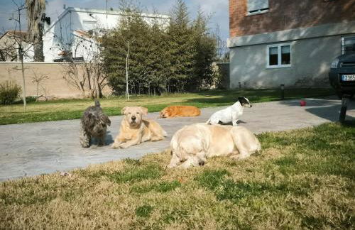 Casa del Olmo - Photo 7