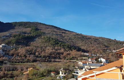 Diana Apartman - Photo 26