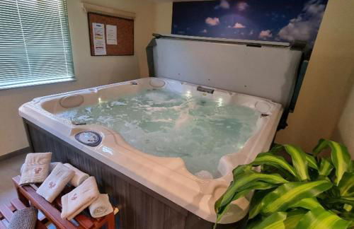 Gite Myrtille 2 à 6 personnes avec SPA et salle de jeux dans la Residence - Foto 2