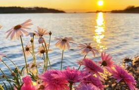 Venetia apartment - Foto 33