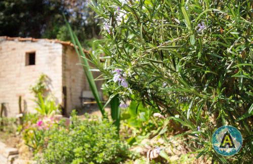 Appartamenti di Vincenzo a due passi dal mare - Foto 23