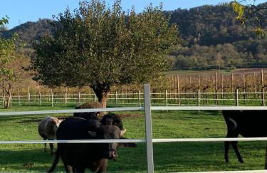 Casa MurArco - Foto 11