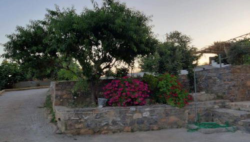 Niki's house - Foto 3