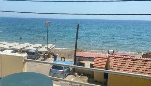 Terry Studio - Foto 2