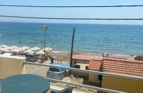 Terry Studio - Foto 2