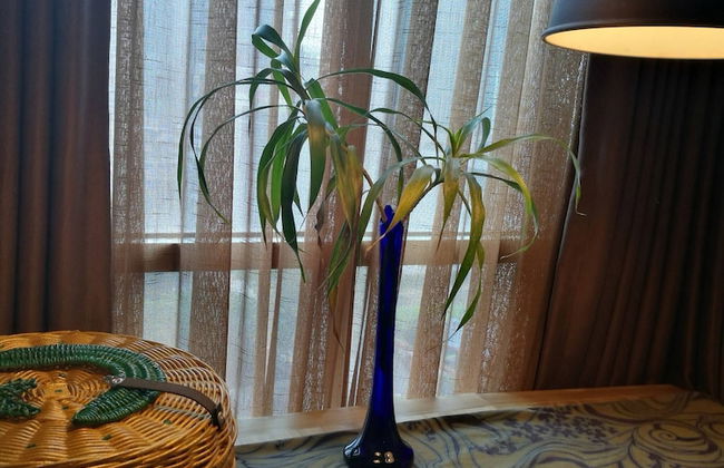 Pleasant Tifolia Studio Cozy Room In Kelapa Gading - Photo 24