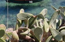 LA CASETTA in puglia - Foto 19