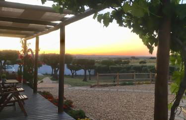 Aleixo's House | Alentejo - Foto 44