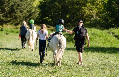 TinyHousebeiDresden mit Faßsauna Über dem Wasser schwebendes winziges Häuschen Nähe Dresden Sächsische Schweiz - Foto 19
