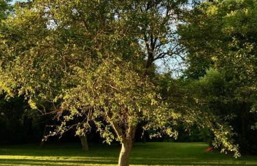 Roadhaven1830 - Foto 16