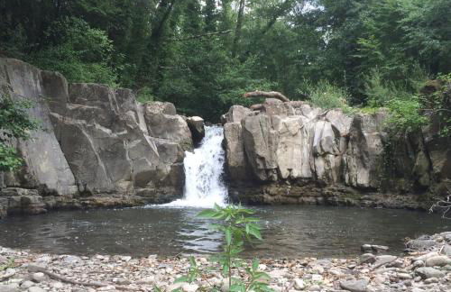 Giardino di Potentino - Foto 32