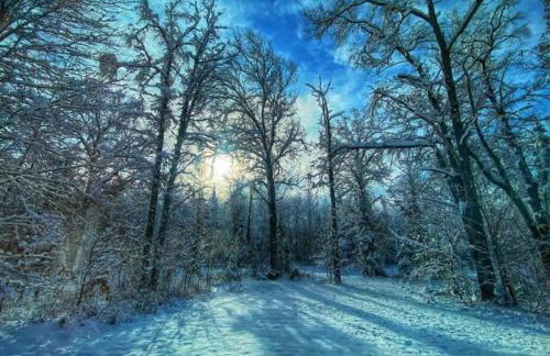 Barton City Lodge - Foto 54