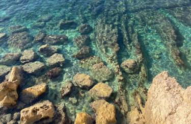 Wunderschöne Wohnung in Jugendstilvilla am Hafen - Photo 6