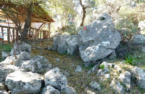 Anna's country villa - Foto 36