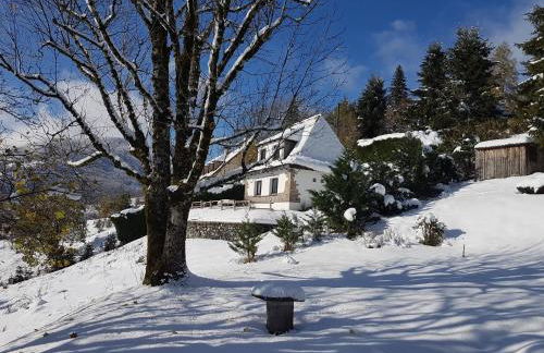 Chalet avec vue panoramique sur le Plomb du Cantal - Foto 27