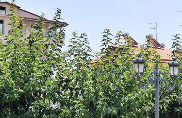 Leni's Space - Foto 18