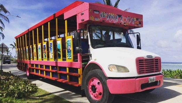 Visite de San Andrés, le tour de l'île en chiva - Photo 3