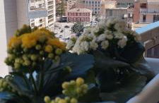 My Home Apartments - Foto 57