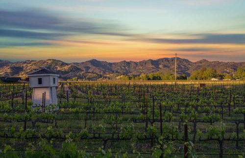 Villa in French Chateau Estate in Napa Valley - Foto 12