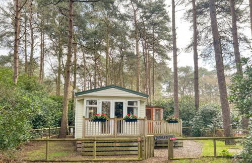 Robin's Retreat - Photo 14