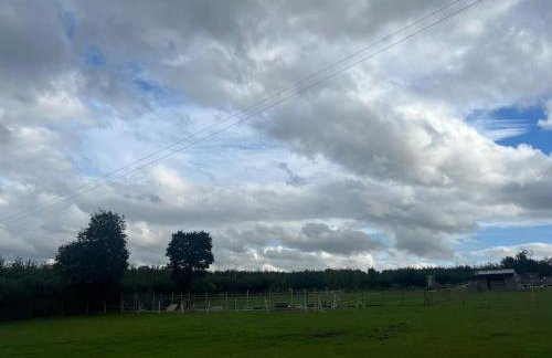 Bridie -rose with wood tub country retreat mini zoo - Foto 53